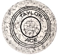 Taylor Ace White Steel Progrip